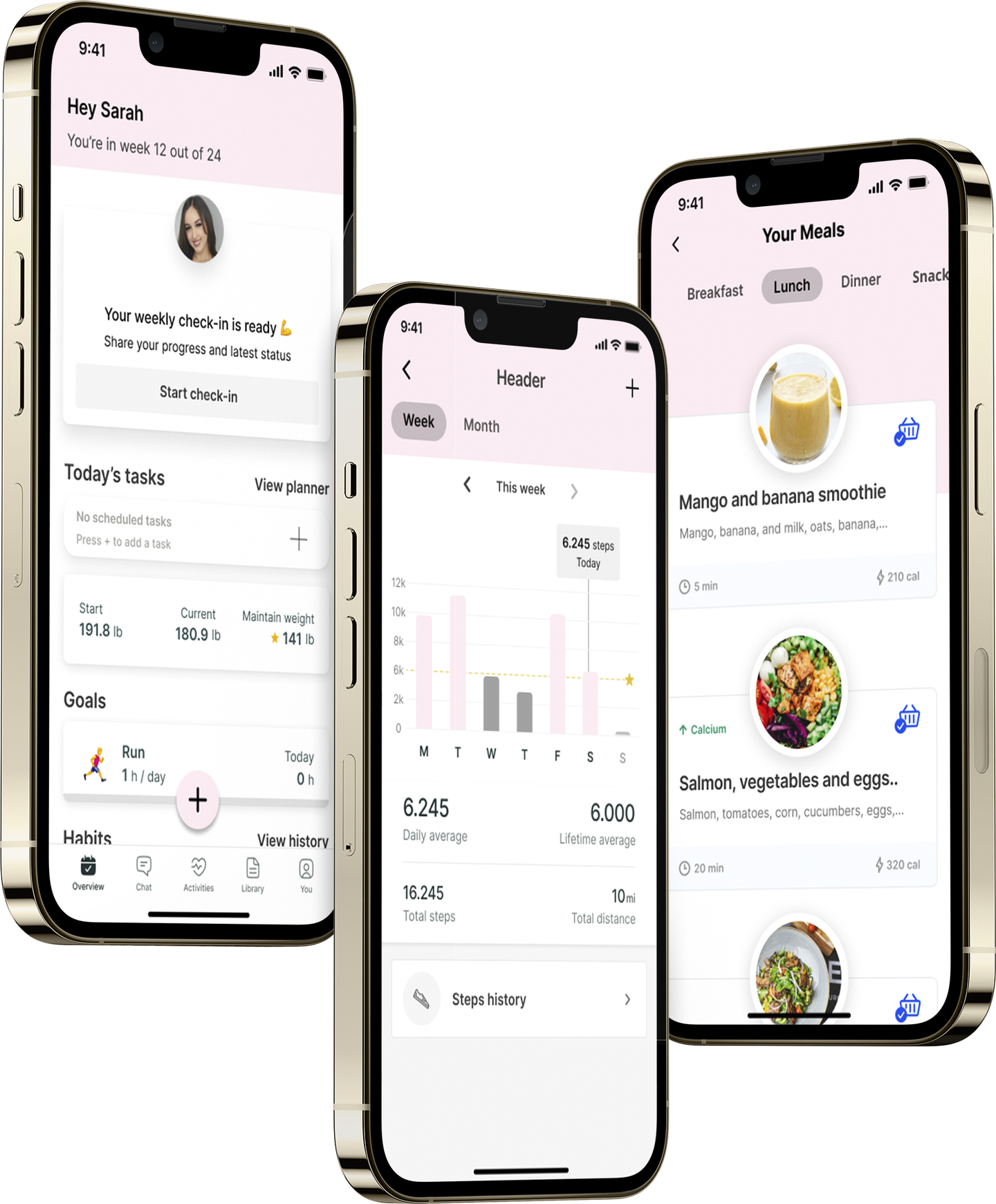 A mockup of the coaching app showcasing the features.